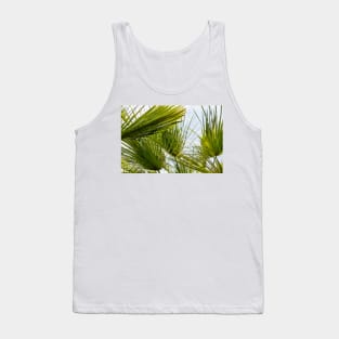 Palm leaves against blue sky Tank Top